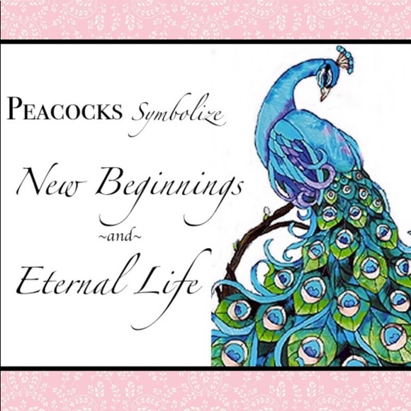 FAST SHIPPING!! Same day shipping, or next business day! - Picture 9 of 12